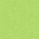 Shadows Col. 111 Light Green